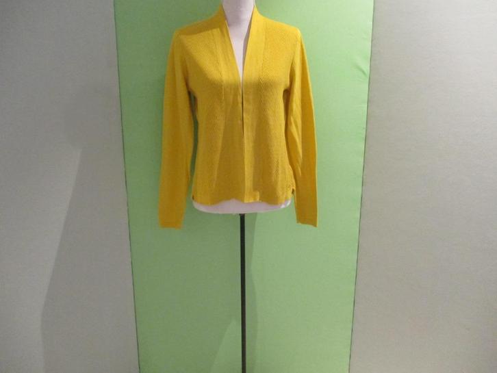 Sandwich vest maat S., Kleding | Dames, Truien en Vesten, Zo goed als nieuw, Maat 36 (S), Geel, Verzenden