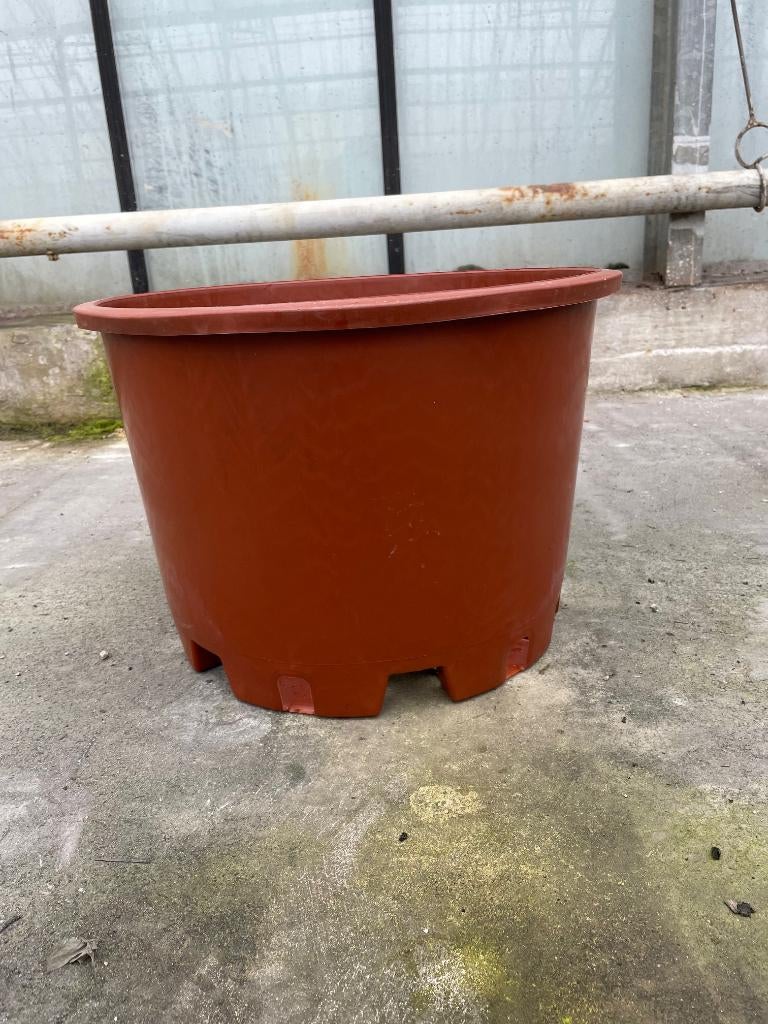 Boomkuip Plantpot 35 ltr Terra-Cotta, Tuin en Terras, Bloempotten, Nieuw, Kunststof, Binnen, Balkon, Tuin, Minder dan 40 cm, 40 cm of meer