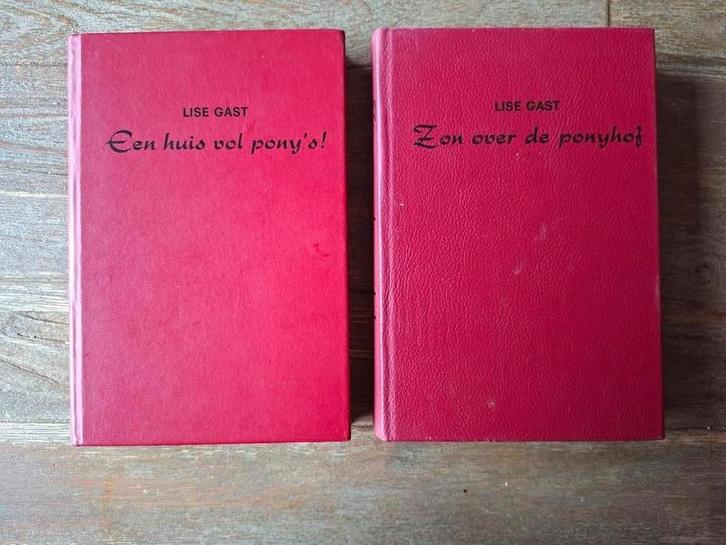 Lise Gast Ponyboeken: Huis vol Pony's & Zon over Ponyhof, Boeken, Kinderboeken | Jeugd | onder 10 jaar, Ophalen of Verzenden
