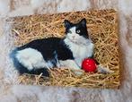 Zwart witte poes in het hooi met rode bal, Verzenden, 1960 tot 1980, Gelopen, Hond of Kat