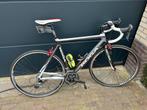 Koga road racer, Fietsen en Brommers, Fietsen | Racefietsen, Ophalen, Gebruikt, Heren, Koga Miyata