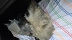 Ford Fiesta 1.0 Versnellingsbak, Ophalen, Gebruikt, Ford