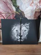 Canvas leeuwen 70x50, Ophalen, Zo goed als nieuw