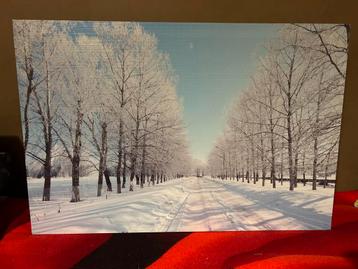 Winterlandschap ( ZGAN. beschikbaar voor biedingen