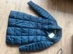 Javier Simorra gewatteerde parka jas, Kleding | Dames, Ophalen of Verzenden, Nieuw, Maat 38/40 (M), Blauw