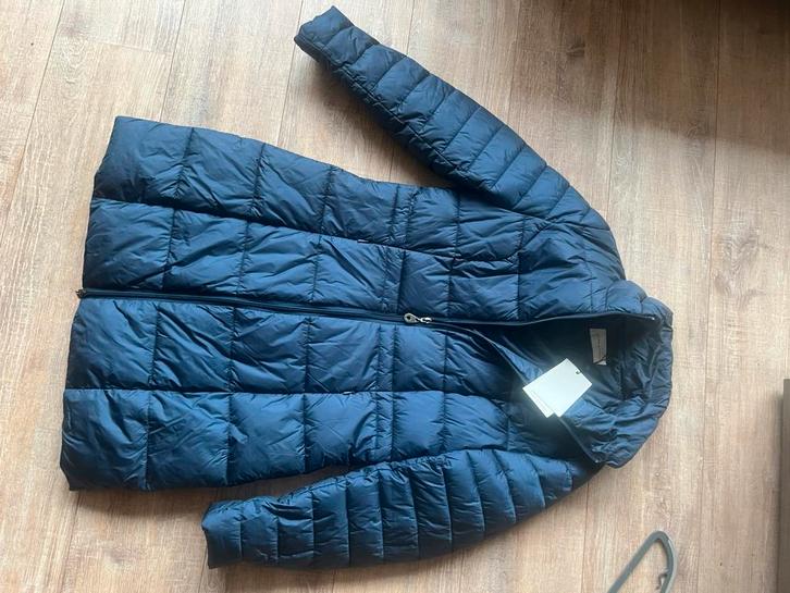 Javier Simorra gewatteerde parka jas, Kleding | Dames, Jassen | Winter, Nieuw, Maat 38/40 (M), Blauw, Ophalen of Verzenden