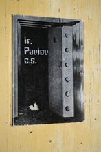 Ir. Pavlov c.s. Peter Didam Servicebureau Kwiek Amersfoort, Ophalen of Verzenden, Gelezen