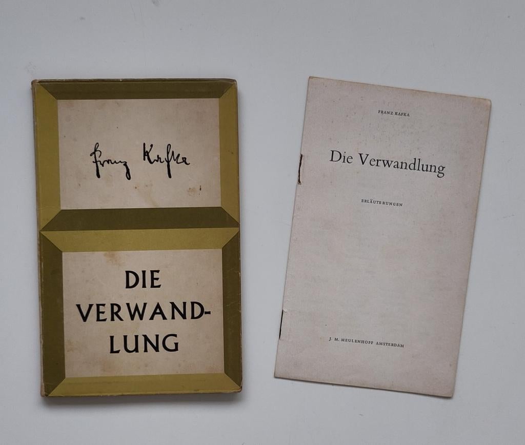 Kafka - Die Verwandlung Klassieker!, Ophalen of Verzenden, Gelezen, Franz Kafka, Europa overig