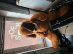 Knuffel beer 1 meter, Ophalen, Zo goed als nieuw