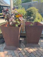 Twee ijzeren plantenbakken. ( roest), Tuin en Terras, Bloembakken en Plantenbakken, Ophalen, Gebruikt, Minder dan 60 cm, Vierkant