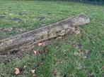 Boomstam 3 meter x 60 cm omtrek, Doe-het-zelf en Verbouw, Hout en Planken, Ophalen, Gebruikt, 250 tot 300 cm, 50 mm of meer