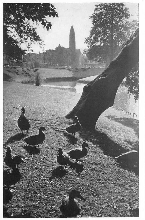 (388-336-031) Driebergen-Rijsenburg de Wildbaan, Verzamelen, Ansichtkaarten | Nederland, Utrecht, Verzenden
