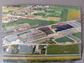 Siebrand, Wijnimport, Kampen, luchtfoto, gelopen. 1981. beschikbaar voor biedingen