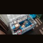 Hamsterhok konijnenhok toebehoren, Dieren en Toebehoren, Kooi, Gebruikt, Hamster, Minder dan 75 cm