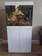 Aqarium Juwel Lido 200, Ophalen, Zo goed als nieuw, Gevuld zoetwateraquarium