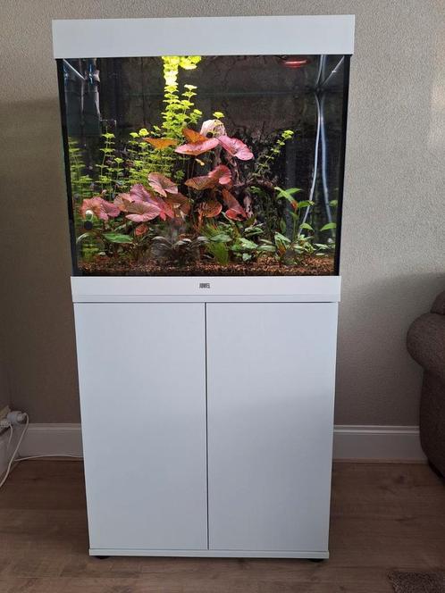 Aqarium Juwel Lido 200, Dieren en Toebehoren, Vissen | Aquaria en Toebehoren, Zo goed als nieuw, Gevuld zoetwateraquarium, Ophalen
