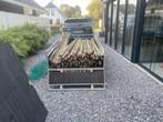 Rondhout palen, geïmpregneerd, 250cm, Ophalen of Verzenden, Nieuw, 250 cm of meer, Palen