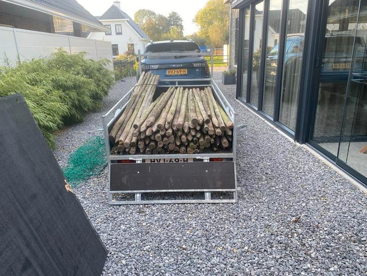 Rondhout palen, geïmpregneerd, 250cm, Tuin en Terras, Palen, Balken en Planken, Nieuw, Palen, 250 cm of meer, Ophalen of Verzenden