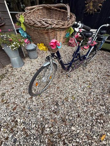 Elektrische Tandem  Sparta - Samen op avontuur! beschikbaar voor biedingen