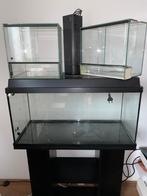 Reptile/Fish - Terrarium/Aquarium + Cabinet, Dieren en Toebehoren, Ophalen of Verzenden, Zo goed als nieuw