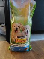 Bonzo puppy brokken, Dieren en Toebehoren, Hond, Ophalen
