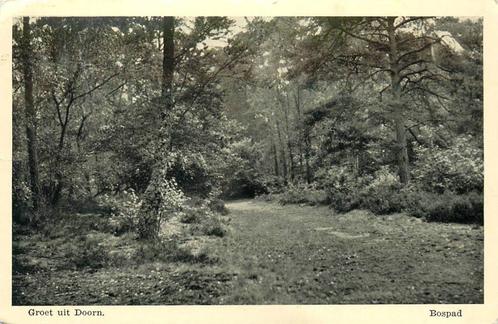 (388-377-017) Doorn Bospad, Verzamelen, Ansichtkaarten | Nederland, Utrecht, Verzenden