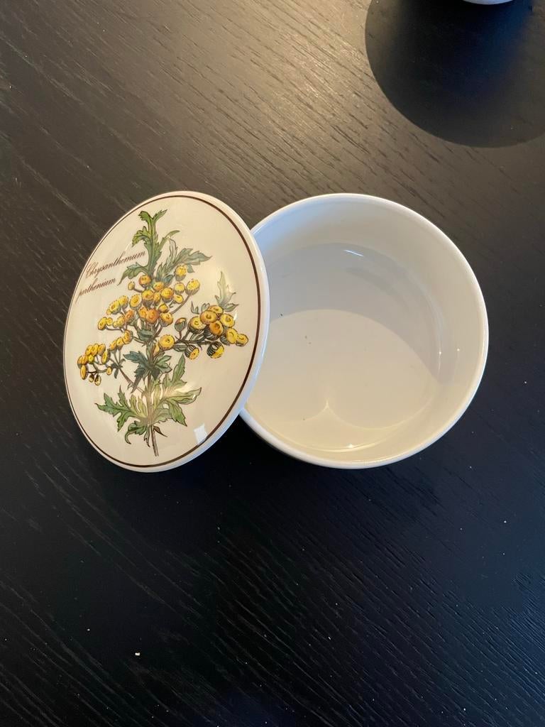 Villeroy & Boch Botanica potje, Overige materialen, Ophalen of Verzenden, Zo goed als nieuw, Kom(men)