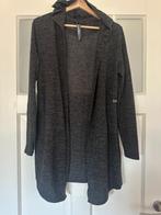 Amy & Ivy lang vest maat M, Maat 38/40 (M), Nieuw, Ophalen of Verzenden, Amy & Ivy