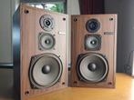 Magnat sonobull 40, Ophalen, Gebruikt, Magnat, Minder dan 60 watt