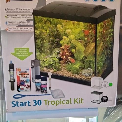 Start 30 tropical Wit, Dieren en Toebehoren, Vissen | Aquaria en Toebehoren, Nieuw, Ophalen of Verzenden