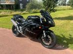 TRIUMPH DAYTONA 955I (bj 2005), Bedrijf, 3 cilinders, Super Sport, Meer dan 35 kW