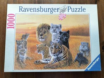 Puzzel Grote Katten (1000 stukjes) beschikbaar voor biedingen