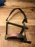 Glitters halster pony, Ophalen of Verzenden, Zo goed als nieuw, Overige soorten