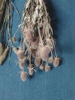 Nog diverse soorten droogbloemen, Ophalen