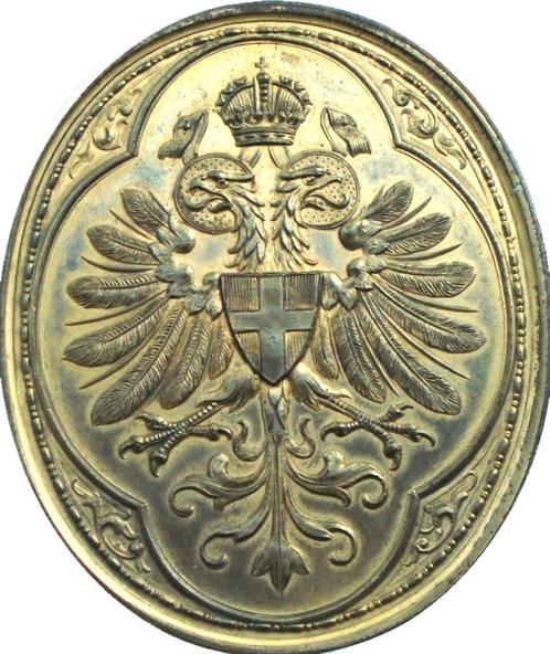 Oostenrijk - Wenen tentoonstelling 1891 (zeldzaam), Postzegels en Munten, Penningen en Medailles, Buitenland, Ophalen of Verzenden