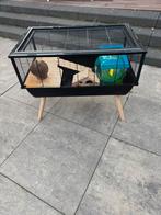 Knaagdierkooi, Dieren en Toebehoren, Ophalen, Kooi, Gebruikt, Hamster