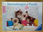 Ravensburger Puzzel 1000 - 1 Kitten Quartett Kattenkwartet, Ophalen of Verzenden, 500 t/m 1500 stukjes, Legpuzzel, Zo goed als nieuw