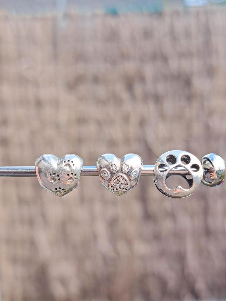 Pandora dierpoot bedels, Sieraden, Tassen en Uiterlijk, Bedels, Nieuw, Pandora, Zilver, 4 bedels of meer, Ophalen of Verzenden