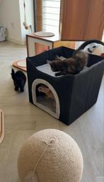 Katten huisje / katten mand, Dieren en Toebehoren, Katten-accessoires, Ophalen of Verzenden, Gebruikt