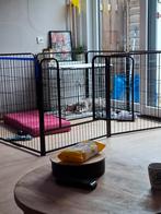 Puppyren, Ophalen of Verzenden, Zo goed als nieuw, 110 cm of meer, Minder dan 65 cm