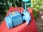 Waterpomp ,Pedrollo 230V-9.6 kuub p/u-5.8 Bar / pompcontrol, Ophalen, Gebruikt, Elektrisch, Beregeningspomp