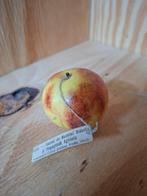 Didactisch model pruim - Oostblok, Ophalen of Verzenden