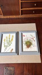 Schilderijtjes van planten, Huis en Inrichting, Woonaccessoires | Schilderijen, Tekeningen en Foto's, Ophalen of Verzenden, Gebruikt