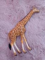 Giraf beeldje / Reticulated Giraffe 2012, Verzamelen, Beelden en Beeldjes, Ophalen of Verzenden, Zo goed als nieuw