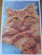 voor het kind - poezen - onze rooie - red tabby pers - 1976, Verzamelen, Ansichtkaarten | Dieren, Verzenden, 1960 tot 1980, Ongelopen