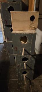 8 nestkastjes agaponis, Dieren en Toebehoren, Ophalen of Verzenden, Hout, Broedkooi of Kweekkooi