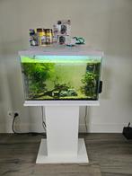Aquarium superfish, start 70, Dieren en Toebehoren, Vissen | Aquaria en Toebehoren, Ophalen, Gevuld zoetwateraquarium