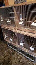 Broedkooien, Dieren en Toebehoren, Vogels | Hokken en Kooien, Ophalen, Gebruikt, Hout, Broedkooi of Kweekkooi