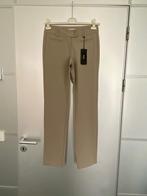 H189 Nieuw: Angels Cici Luxe: maat 36/38=S/M broek L32 taupe, Nieuw, Ophalen of Verzenden, Angels, Maat 36 (S)