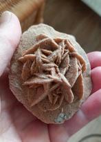 Woestijn roosje klein, Verzamelen, Mineralen en Fossielen, Ophalen, Mineraal